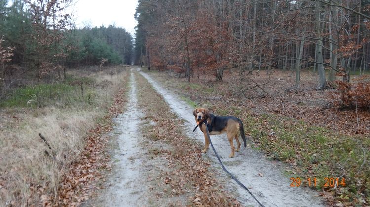 Ares pozujący do zdjęcia          ;)