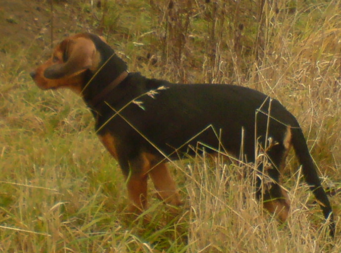 DSC00227.JPG