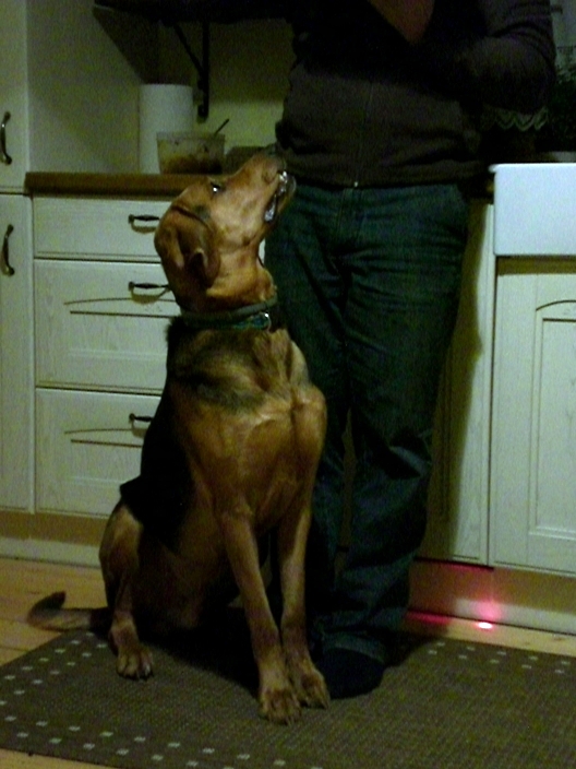 Wyższa szkoła sępienia :)
