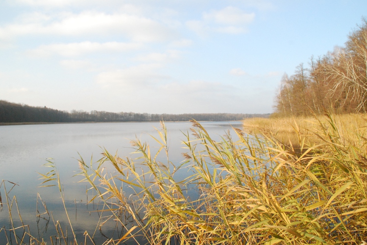 DSC_0007.JPG
