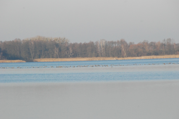 DSC_0008.JPG