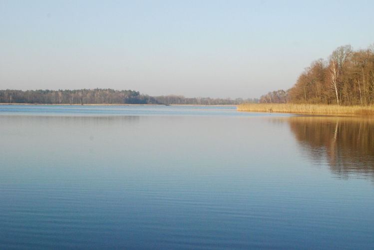 DSC_0009.JPG