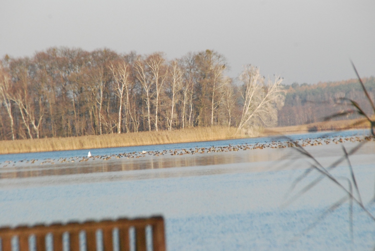 DSC_0014.JPG