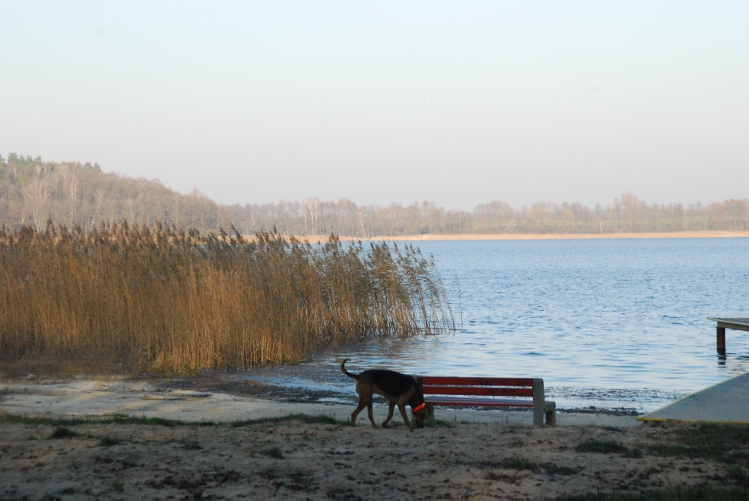 DSC_0018.JPG