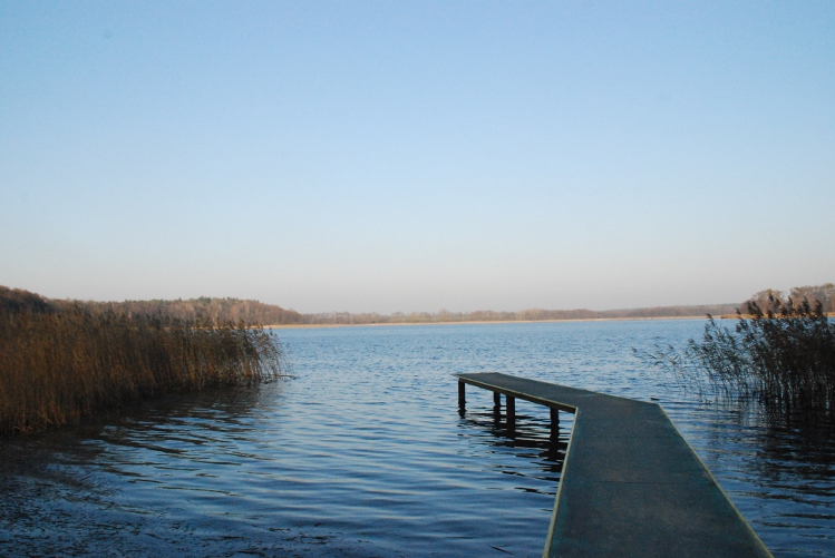 DSC_0019.JPG