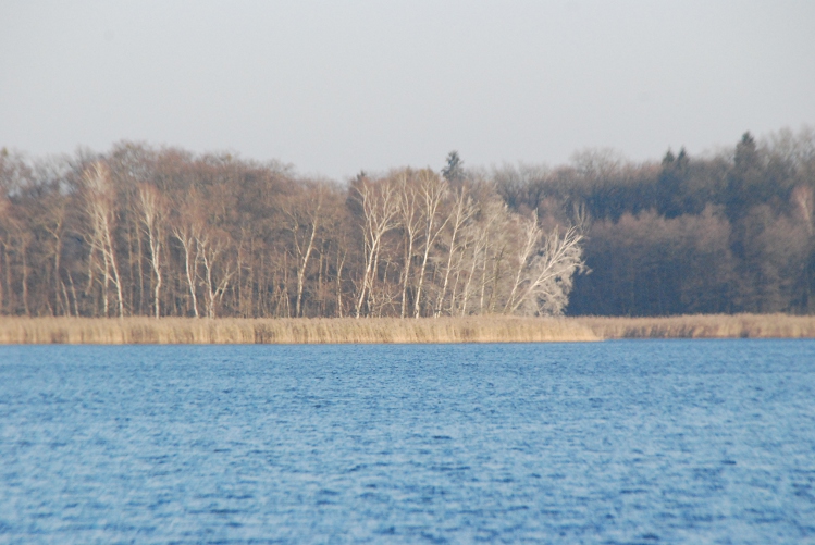 DSC_0024.JPG