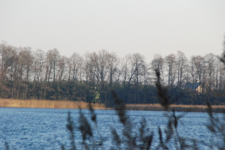 DSC_0026.JPG