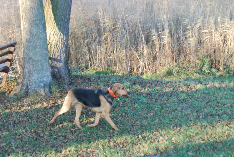 DSC_0031.JPG
