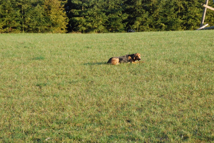 DSC_0035.JPG