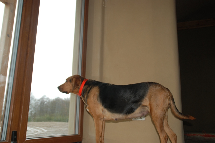 DSC_0053.JPG