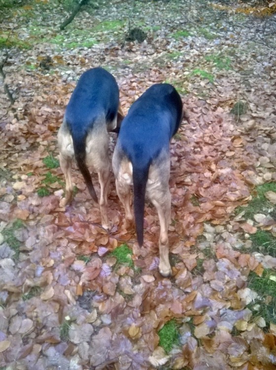 1-WP_20141126_030.jpg