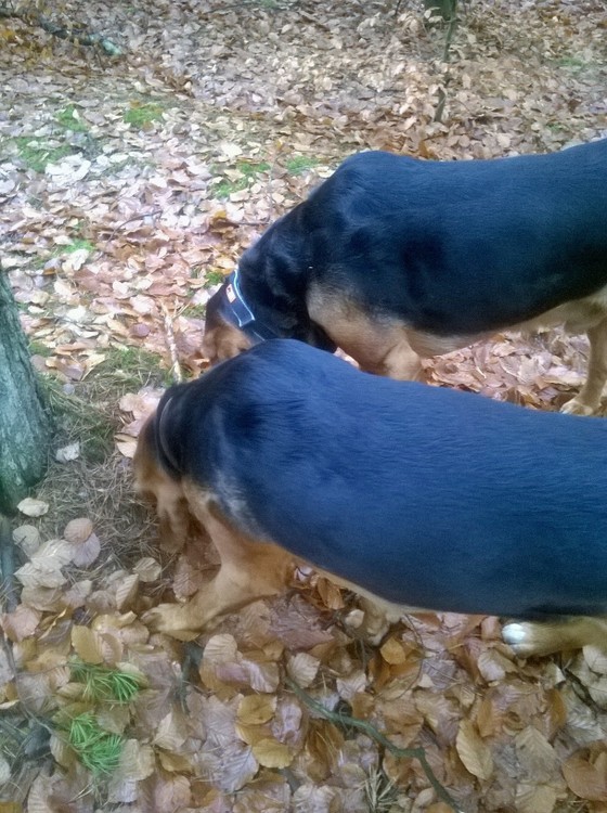 1-WP_20141126_041.jpg