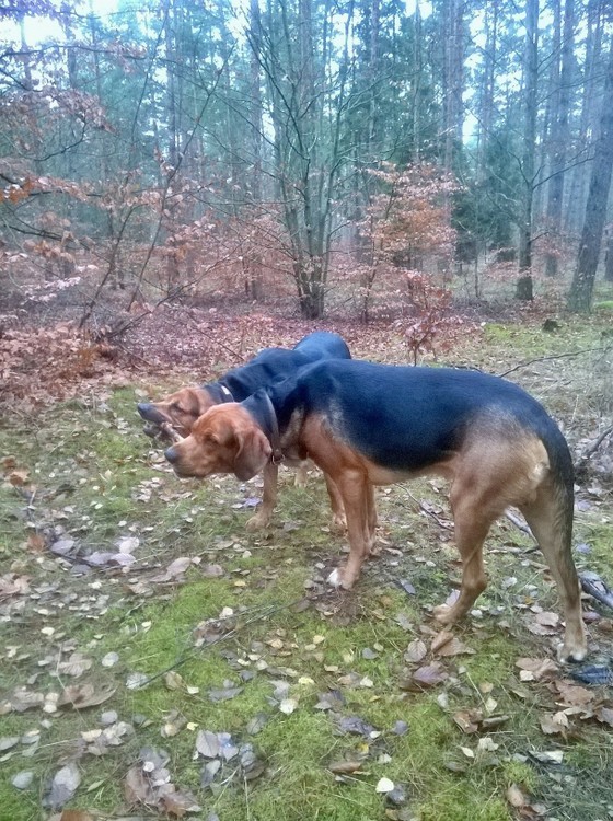 1-WP_20141126_056.jpg