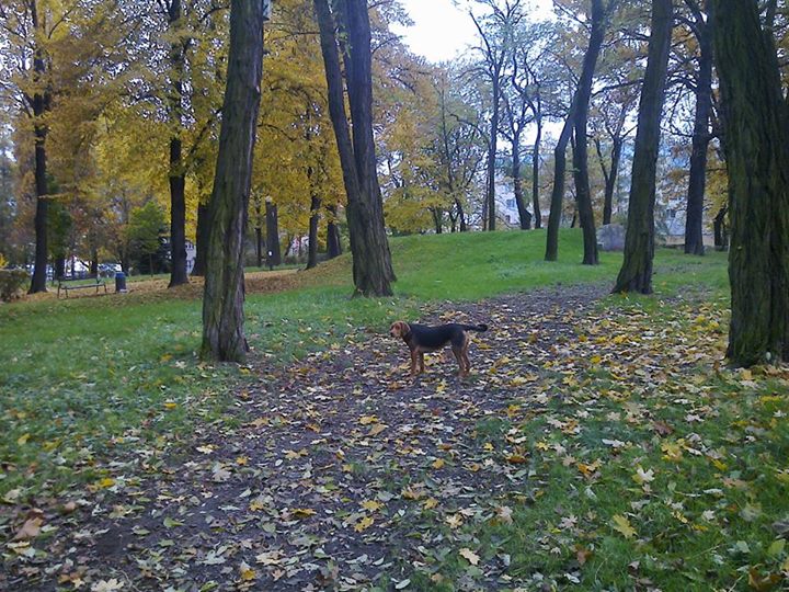 chwila namysłu