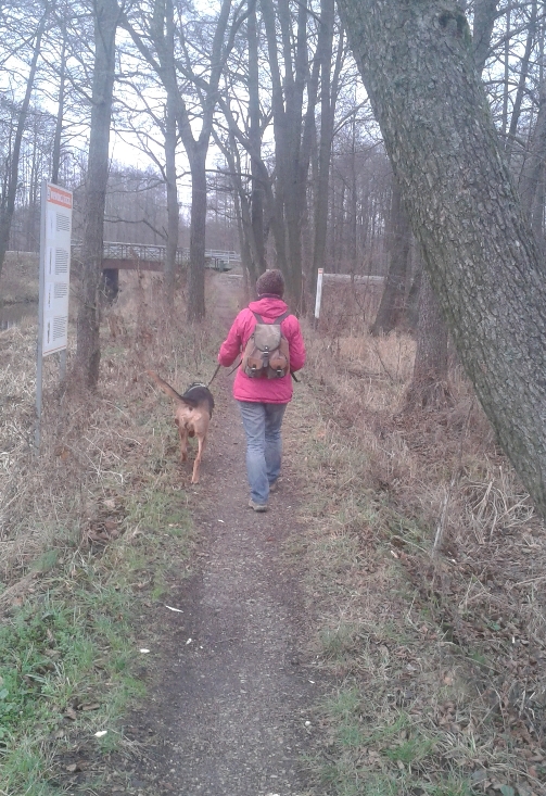 20141214_121050.jpg