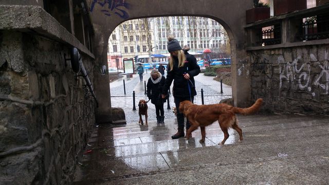 2014-12-14 2014-12-14 001 023.JPG
