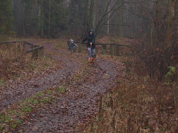 Moją Panią ciągnę tak...
