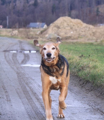 Kostrzyca 2014