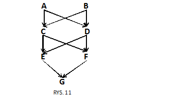 Genetyka RYS. 11.png