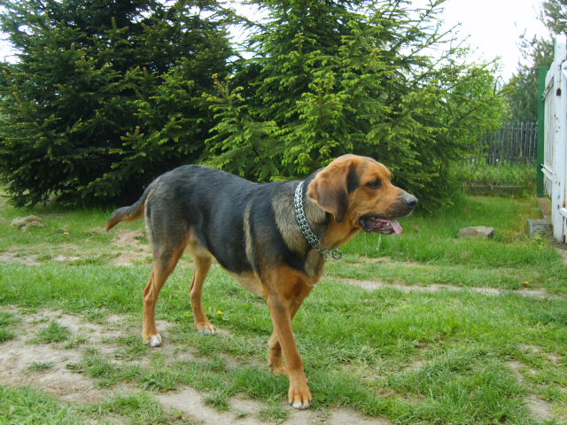 NASZ DOMECZEK MAJ 2008 001.jpg