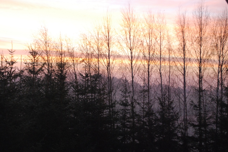 DSC_0005.JPG
