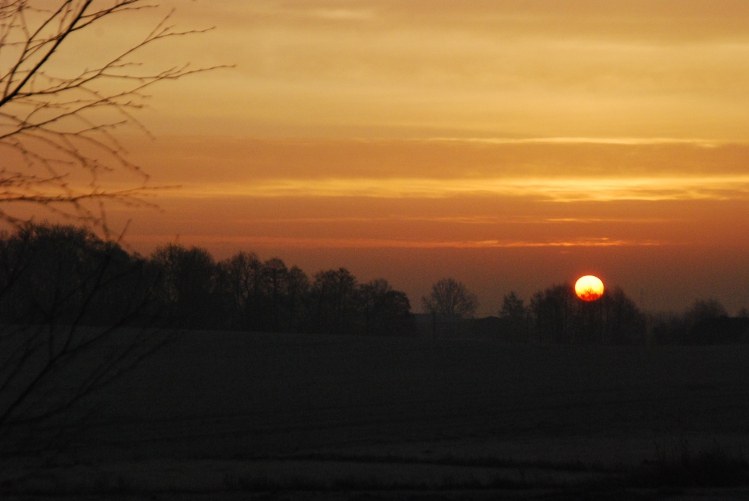 DSC_0006.JPG