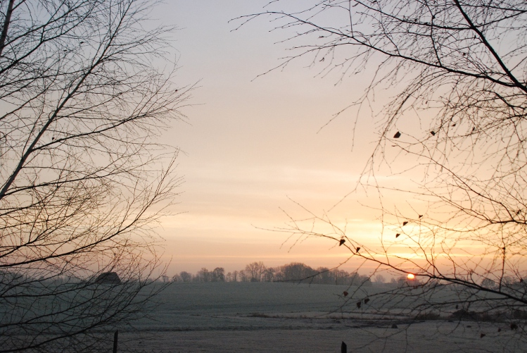 DSC_0007.JPG