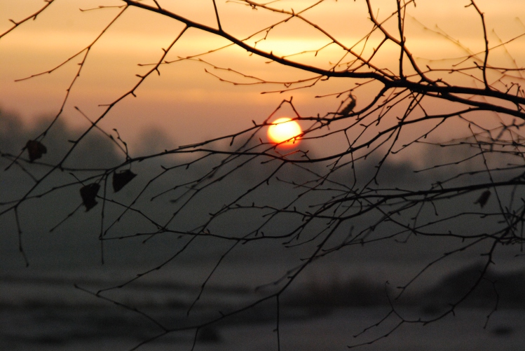 DSC_0008.JPG
