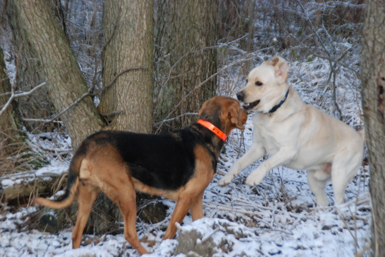 DSC_0048.JPG