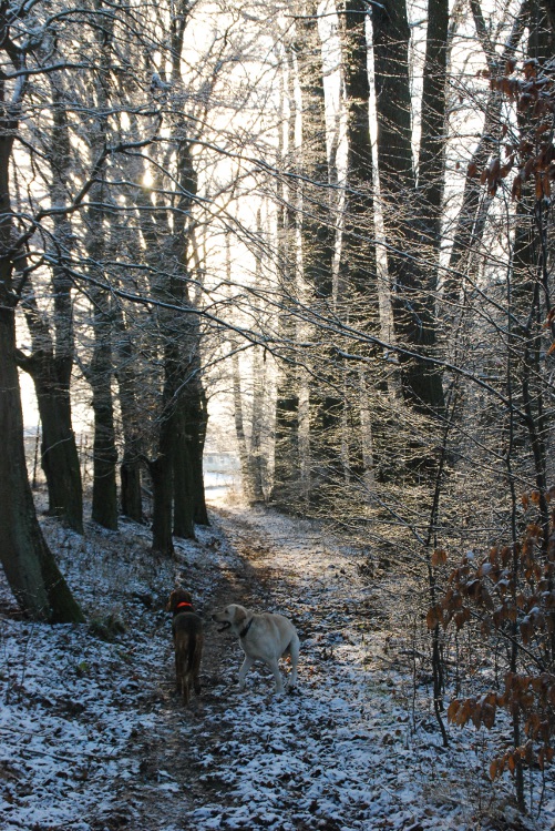 DSC_0057.JPG