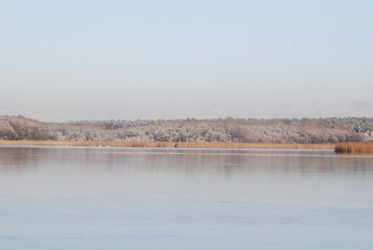 DSC_0078.JPG