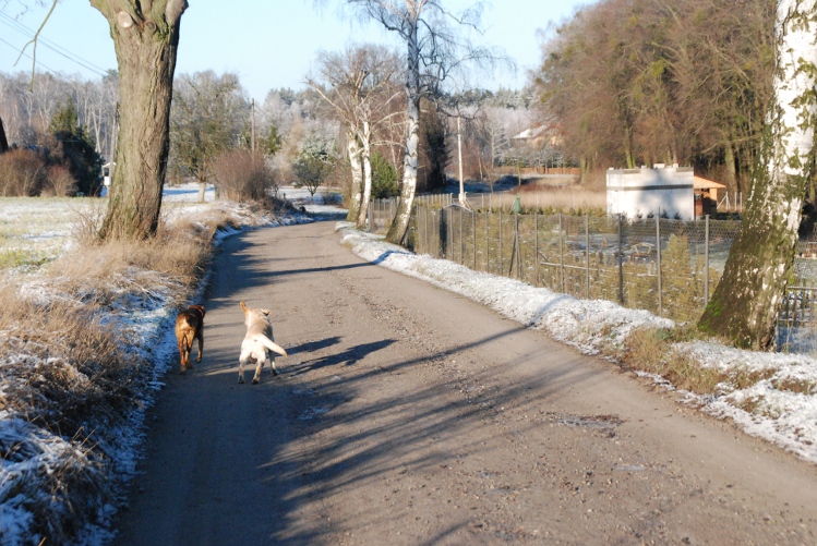 DSC_0088.JPG