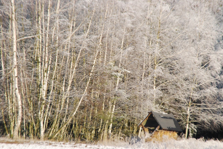 DSC_0112.JPG