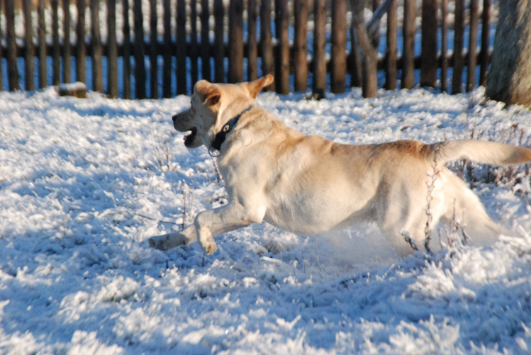 DSC_0121.JPG