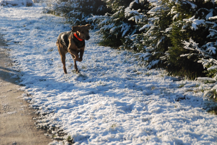 DSC_0125.JPG