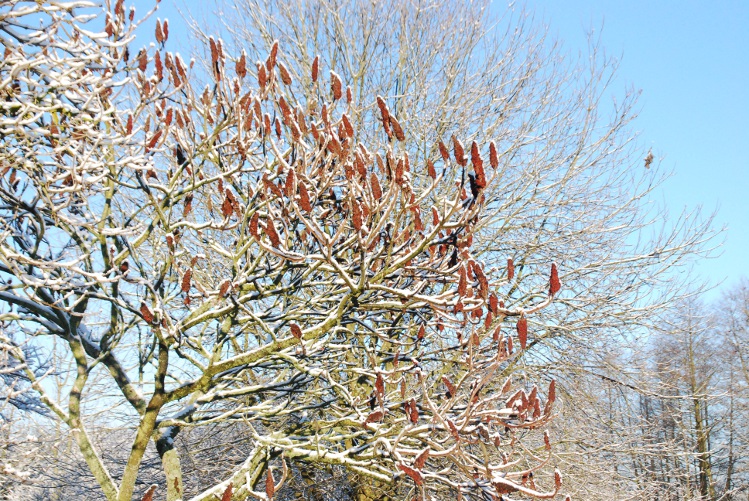 DSC_0131.JPG