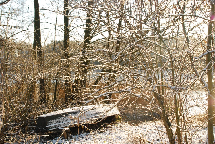 DSC_0136.JPG