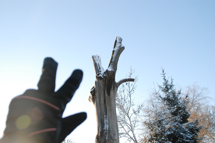 DSC_0158.JPG