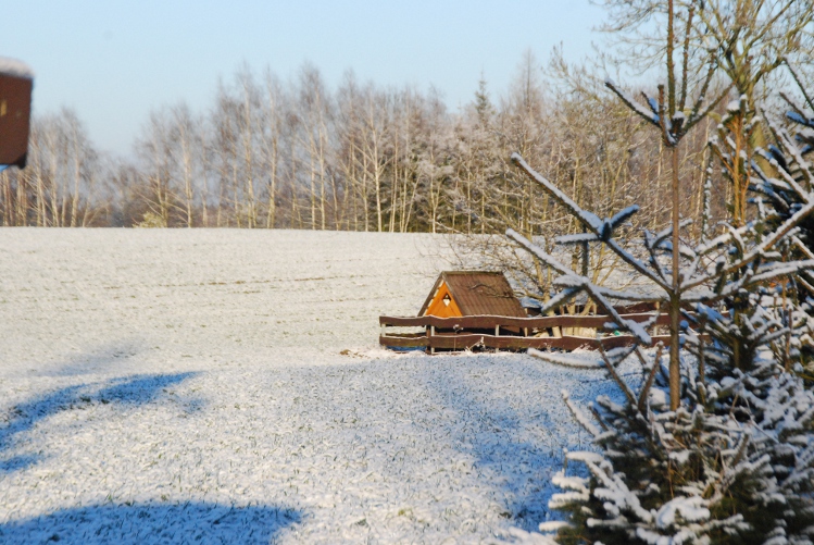 DSC_0160.JPG