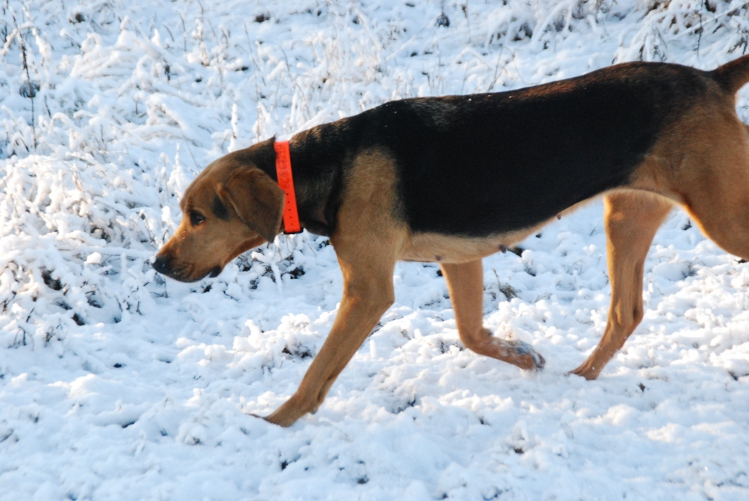 DSC_0162.JPG