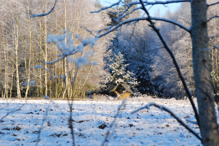 DSC_0165.JPG