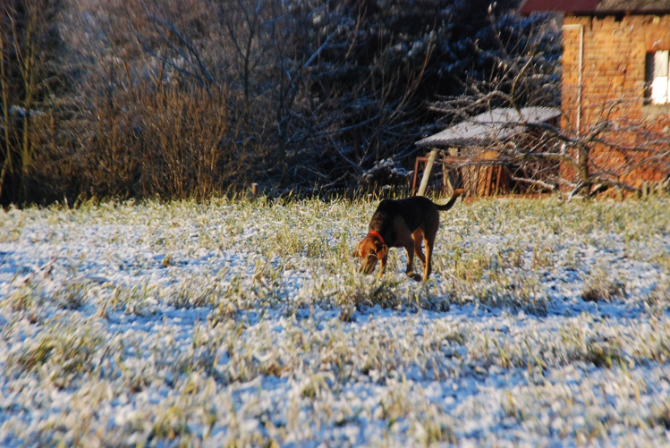 DSC_0168.JPG
