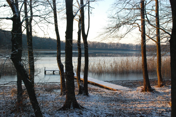 DSC_0178.JPG