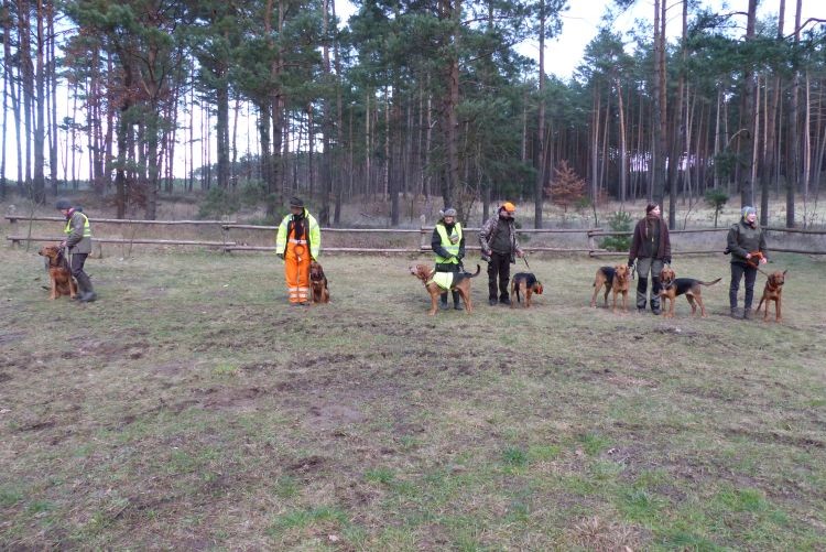 Prawie wszyscy
