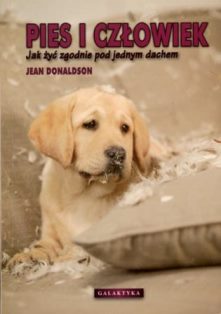 pies_i_czlowiek.jpg