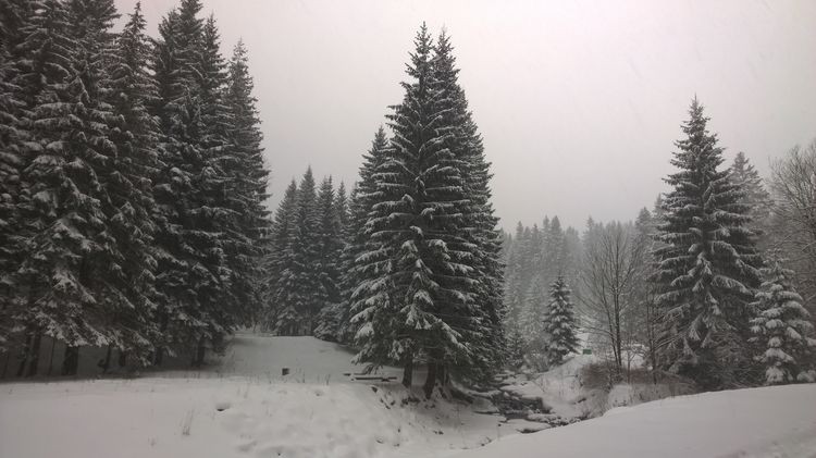 WP_20150105_13_23_48_Pro_wynik.jpg