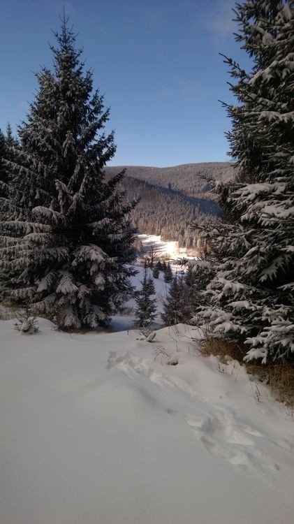 WP_20150106_13_41_50_Pro__highres_wynik.jpg