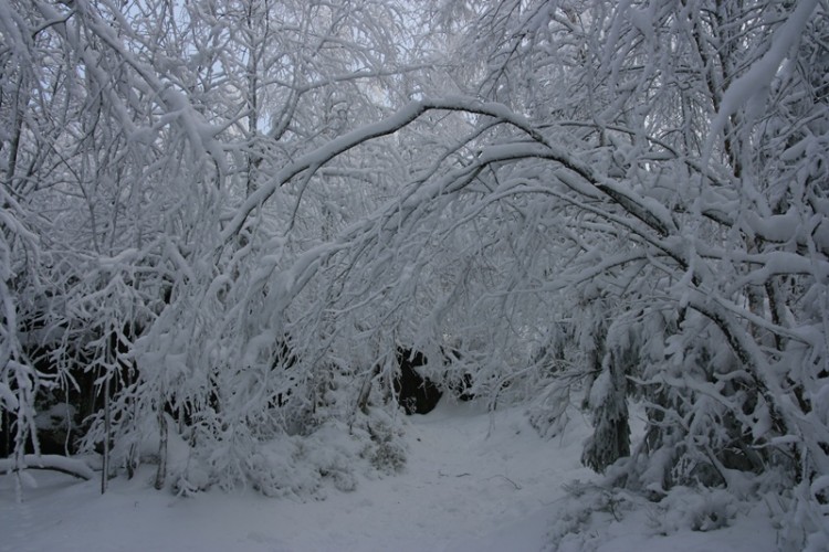 Biało.