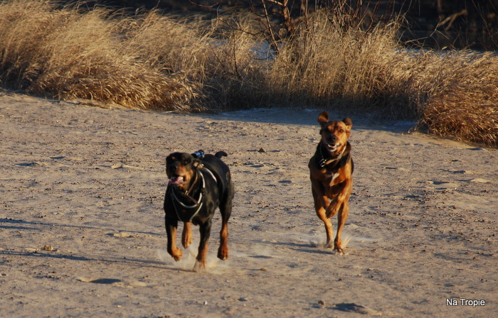 DSC_7126.JPG