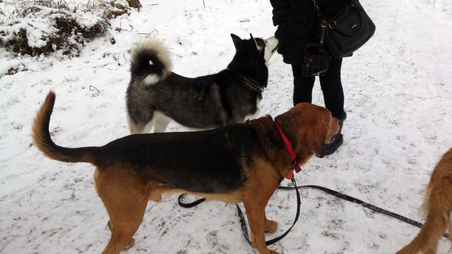 2015-01-08 2015-01-08 001 014.JPG